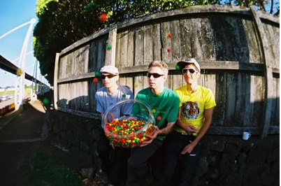 beastieBoys 6-315 (1)